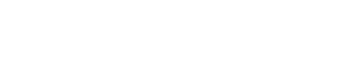 Vionics